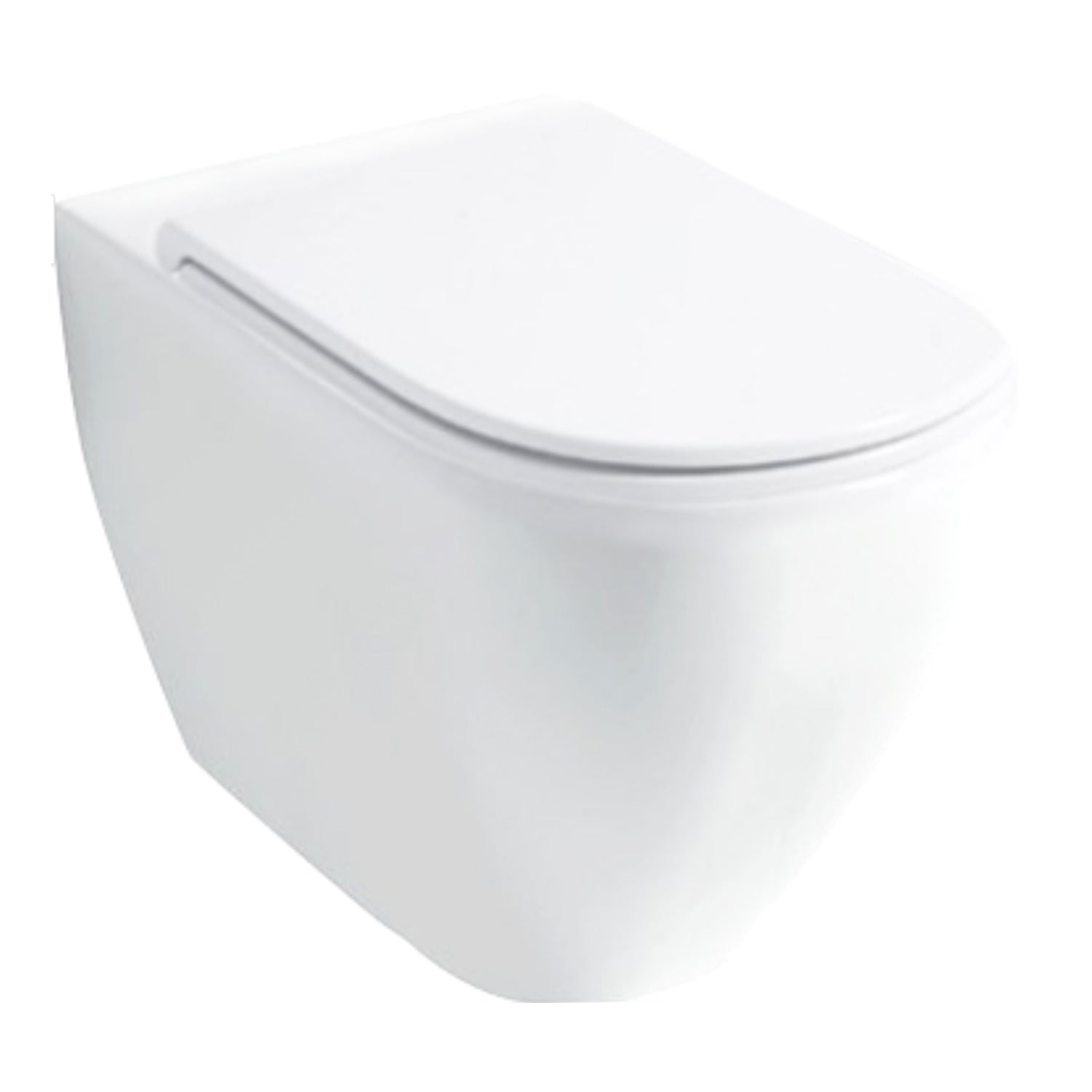 Santari filomuro serie Skip 50 in ceramica bianca con coprivaso chiusura softclose- Disegno Ceramica