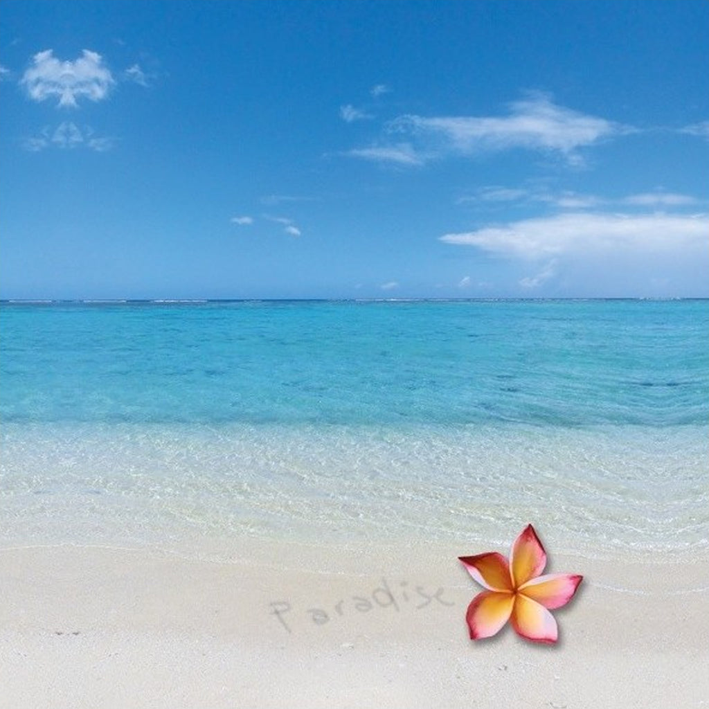 Sedile WC modello Paradise in MDF con cerniere in Acciaio Inox - Blu