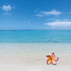 Sedile WC modello Paradise in MDF con cerniere in Acciaio Inox - Blu