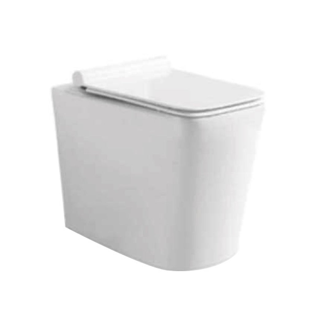 Coppia Sanitari Filo Muro Pluma - Evo Vaso a terra+ bidet a terra+ copriwater