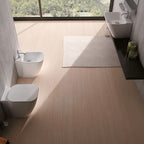 Sanitari moderni senza brida filo parete Domus Falerii F50 Special Wc