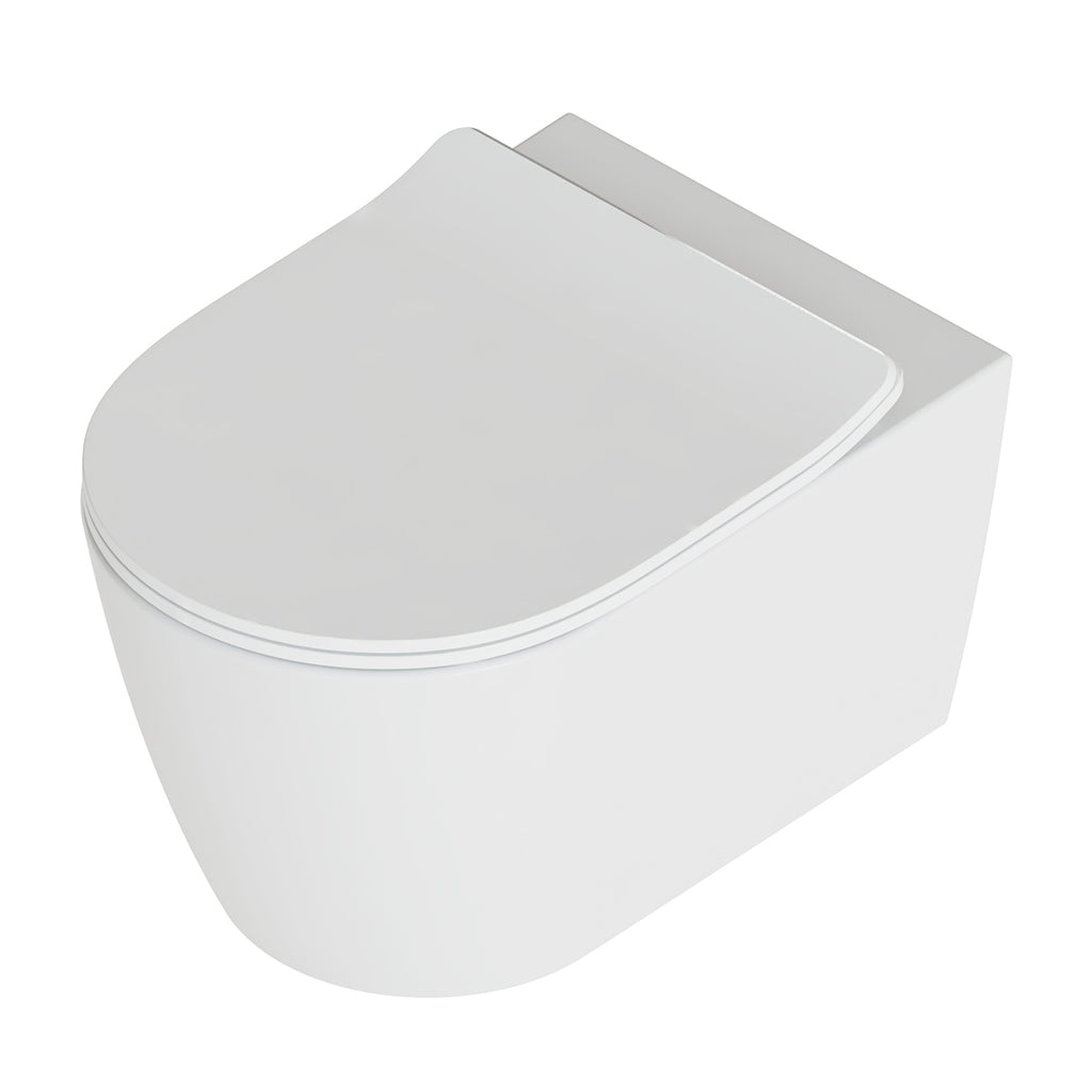 Sanitari Sospesi moderni senza brida Domus Falerii  Foglia Medium rimfree