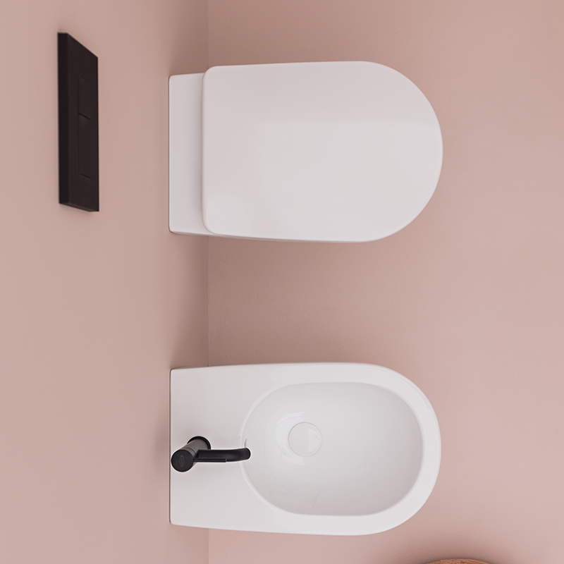 Sanitari Sospesi collezione EVA wc senza brida + bidet + sedile soft close