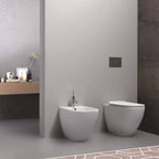 Santari filomuro serie Forever 55 in ceramica bianca con coprivaso chiusura softclose- Disegno Ceramica